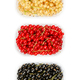 Currant berry variants, white, red and black currant berries - PhotoDune Item for Sale