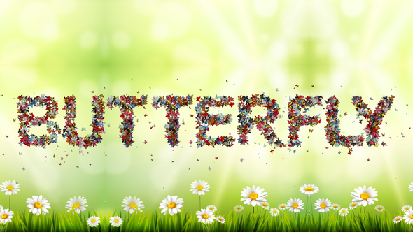 Colored Butterfly Animated Typeface