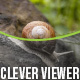 Clever Viewer - Before After Plugin for WordPress