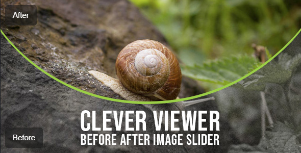 Clever Viewer – Before After Plugin for WordPress