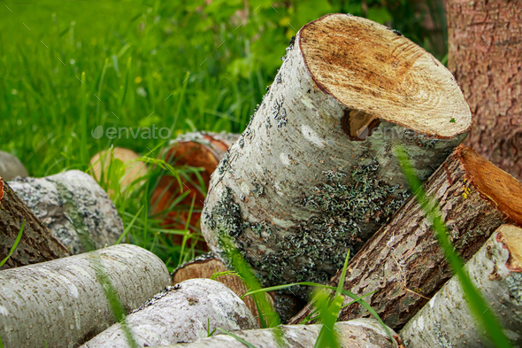 Stack of chopped firewood. Eco-friendly bio fuel. Woodpile near village house.