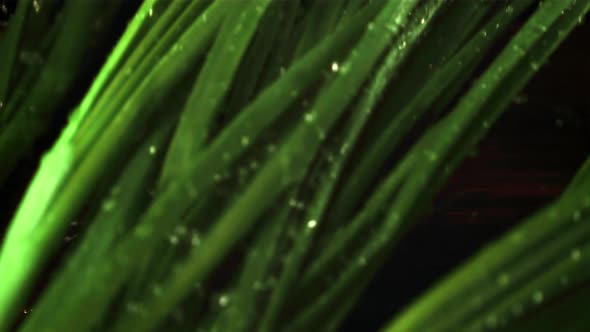 Super Slow Motion Green Onion Falls on the Table with Drops of Water alt