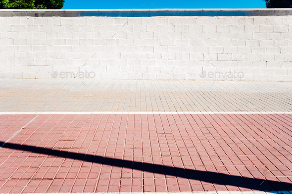 An urban minimalist scene, a white wall in the sun with two trees and blue sky.