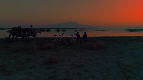 Friends and Horsemen in Nature alt