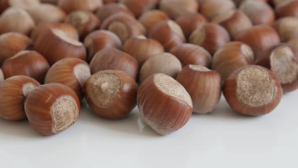 Whole hazelnuts on white background close-up 4K 2160p 30fps UltraHD tilting footage - Corylus avella alt