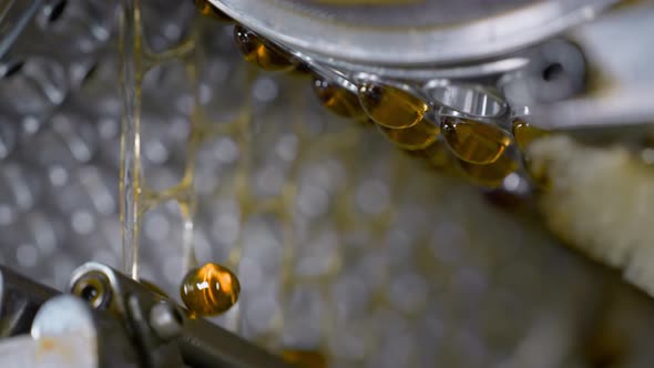 Gelatin Capsules in the Production of Vitamins and Medicines alt