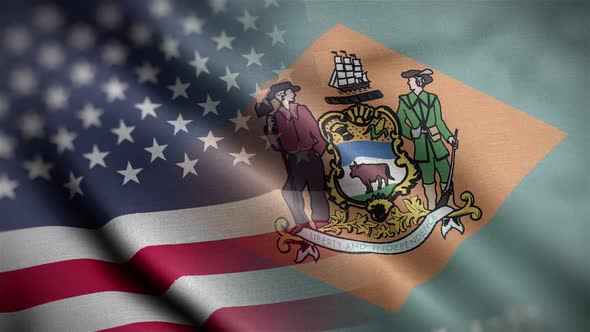 Delaware State Usa Mixed Flag Close Up HD