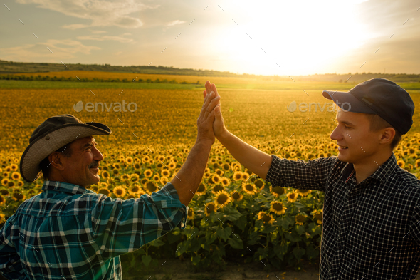 close up, Two farmer standing in a corn field. They are happy with yield of corn.