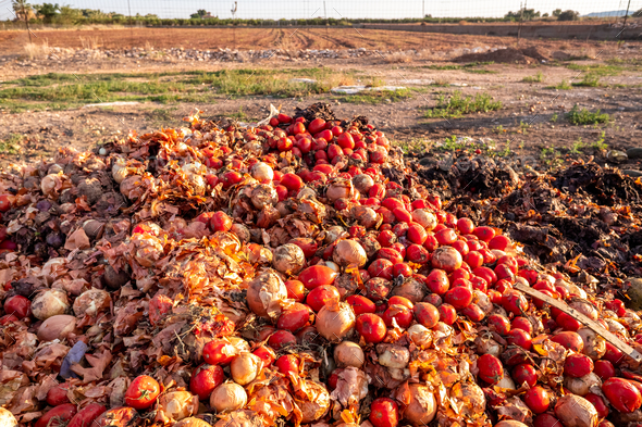 Vegetables thrown into a landfill, rotting outdoors. - Stock Photo - Images
