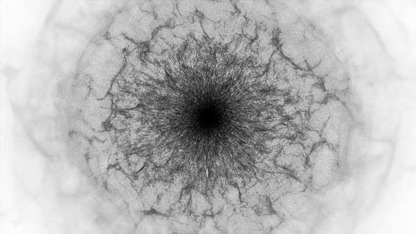 Energy Eye - White and Black alt