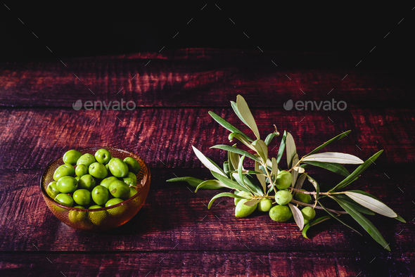 Fruits of the olive tree, isolated on a dark background, source of virgin olive oil.
