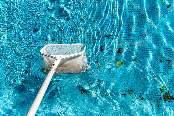 Maintenance man using a pool net leaf skimmer rake in summer to leave ready for bathing his pool.