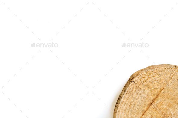 Trunk of cut tree wood, isolated on white background with negative space to include text.