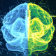 Digital Human Brain 4K - VideoHive Item for Sale