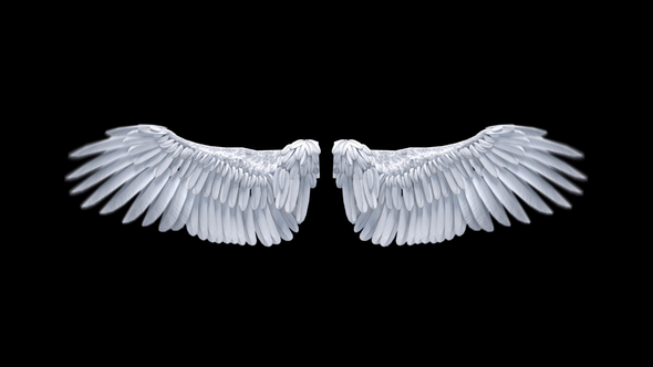 Angel Wings V2