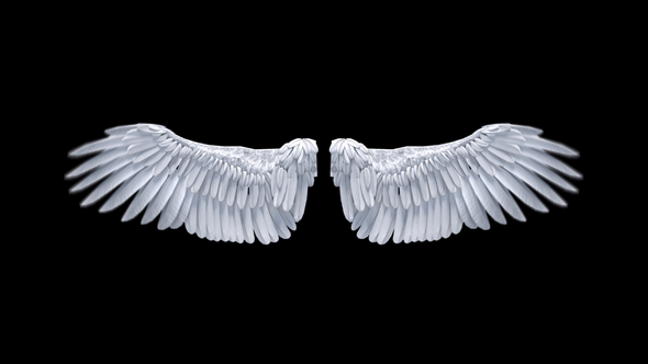 Angel Wings alt