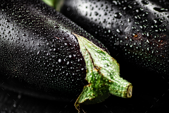 Fresh eggplant with drops of water.