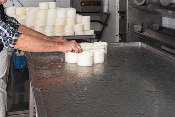 worker deposits moulds with curd on a stainless steel tray