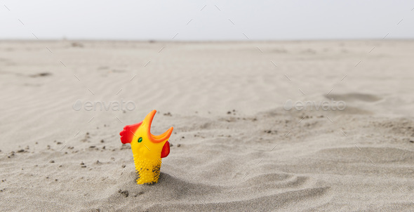 Rubber chicken buried in ocean beach sand