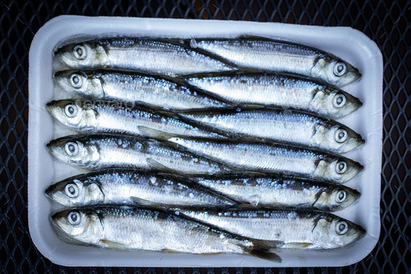 Herring bait fish frozen together used to catch salmon and other seafood  Stock Photo by MatHayward
