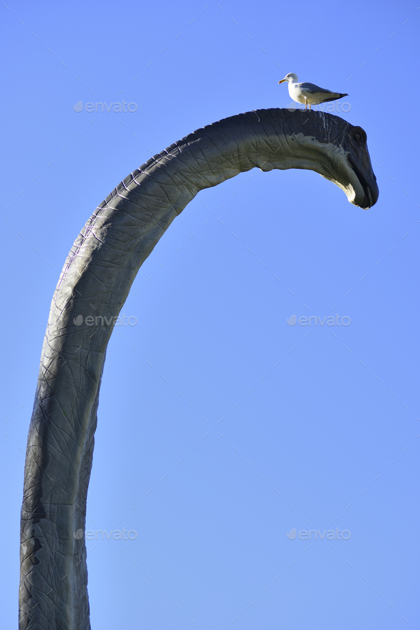 Seagull on head of a reconstruction of Brontosaurus  in outdoor exhibition - Stock Photo - Images