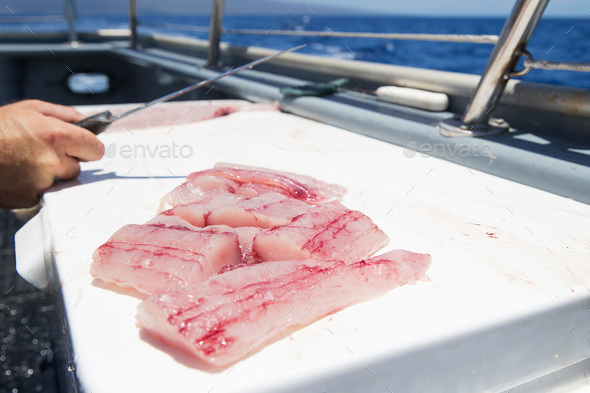Fresh cut fish on an ocean charter boat