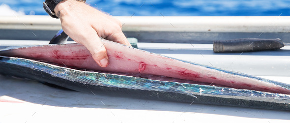 Fresh cut fish on an ocean charter boat