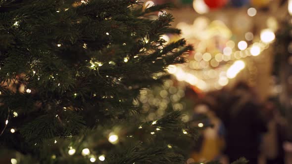 Christmas Tree in Public Place in Evening