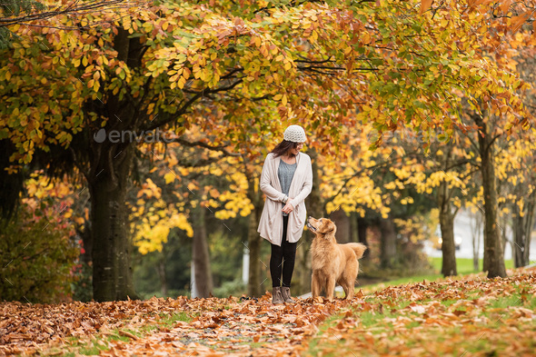 Pretty woman walking her Golden Retriever Dog in a park with Fall colors