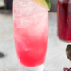 Boozy Cold Gin Hibiscus Highball Cocktail - PhotoDune Item for Sale