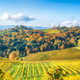 Stunning vineyards landscape in South Styria near Gamlitz. - PhotoDune Item for Sale