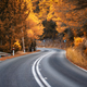 Road in orange forest at sunset in autumn - PhotoDune Item for Sale