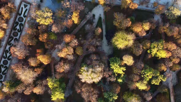 Top Down View of the Trees in Parque Del Retiro From a Drone