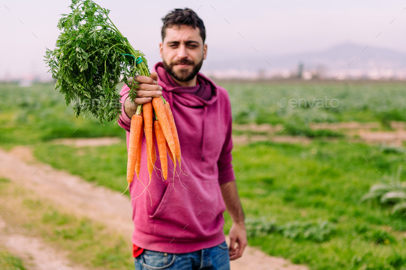 entrepreneur farmer showing a bundle of carrots