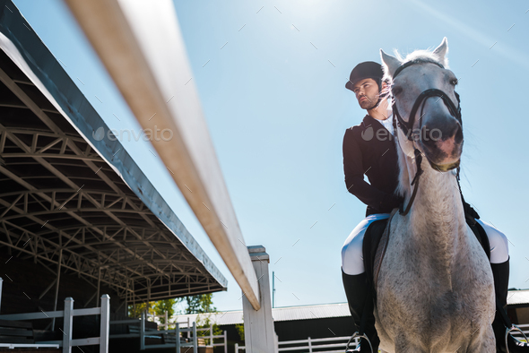 low angle view of handsome male equestrian riding horse at horse club