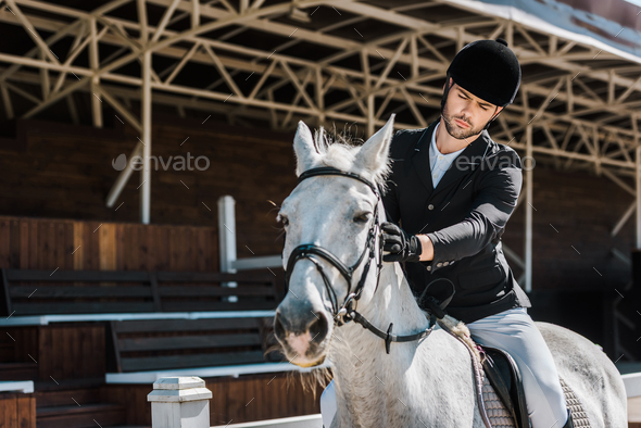 handsome male equestrian riding and palming horse at horse club