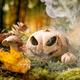Jack-o-lantern in Fairy tale ambiance magical autumn forest - PhotoDune Item for Sale