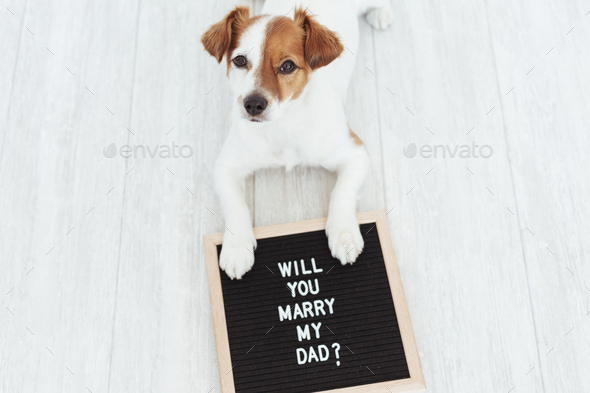 cute dog with wedding ring on head and letter board with message: will you marry my dad?