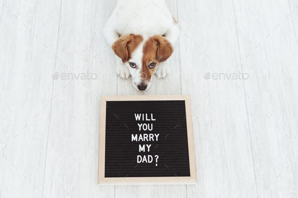 cute dog with wedding ring on nose and a letter board with message:will you marry my dad?