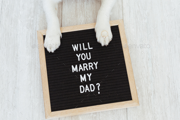 dog paws on letter board and a ring with message:will you marry my dad?