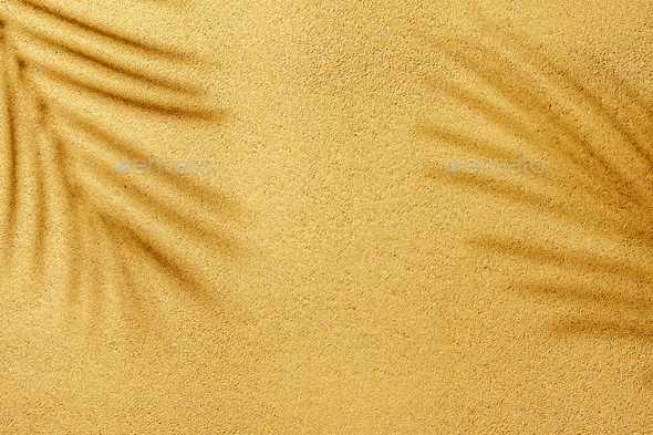 Summer shadow of a palm tree branch on the yellow sand - Stock Photo - Images