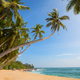 Tropical beach - PhotoDune Item for Sale