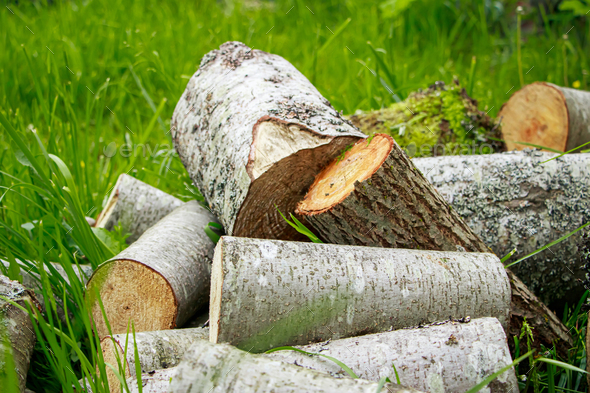 Stack of chopped firewood. Eco-friendly bio fuel. Woodpile near village house