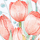 Watercolor Tulips Bouquets Clipar Set