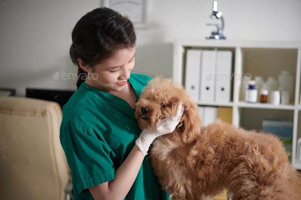 Veterinary Nurse Playing with Dog