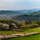 Polish Countryside at Spring. Colorful Lush Trees and Pasture - PhotoDune Item for Sale