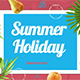 Summer Holiday Slideshow - VideoHive Item for Sale