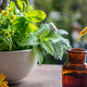 Alternative health medicine. Essential oil drop fall in a bottle, close up. Fresh herb in a mortar - PhotoDune Item for Sale