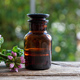 Citronella geranium essential oil on table, close up. Aromatherapy oil, mosquito repellent - PhotoDune Item for Sale