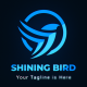 Shining Cinematic Logo Reveal - VideoHive Item for Sale